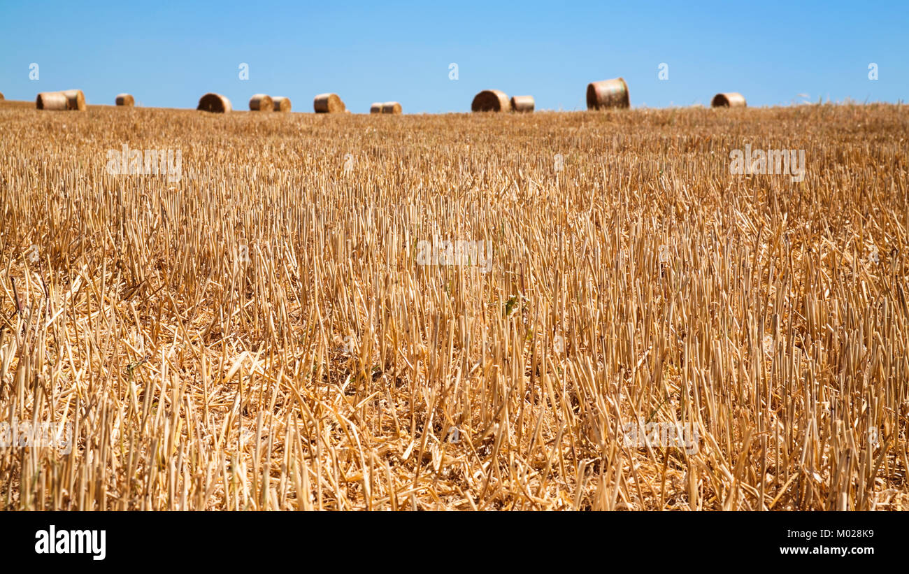 Paesaggio di campagna - raccolte campo con balle di paglia nella regione della Valle della Loira in Francia in estate giornata di sole Foto Stock
