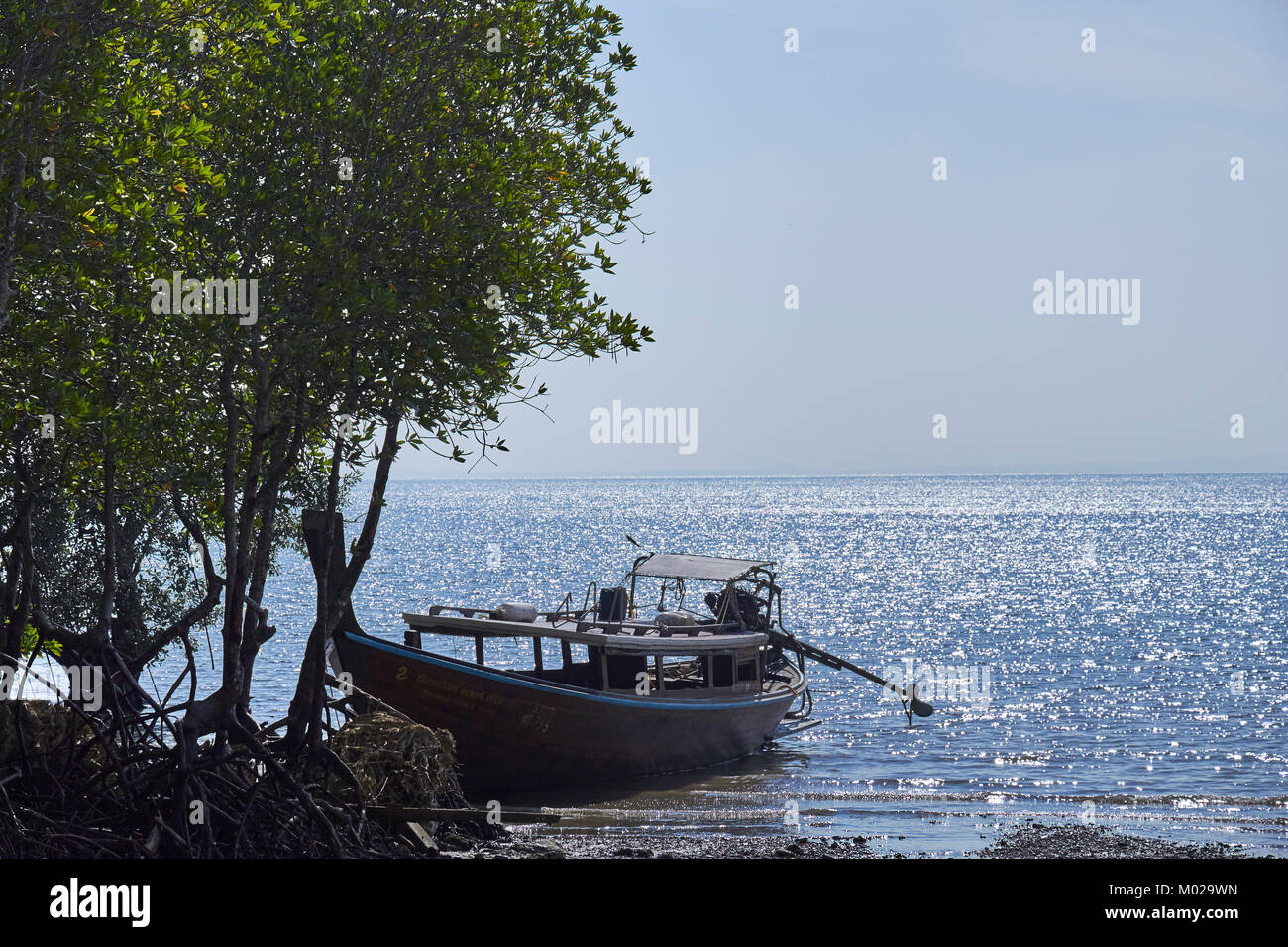 Classico thailandese di lunga coda imbarcazioni al Railay Beach, Krabi Provence, Thailandia Foto Stock