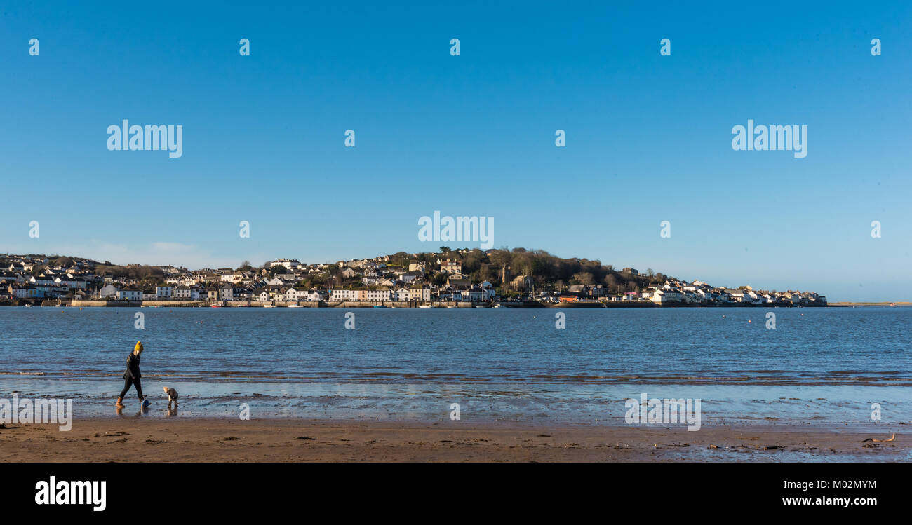 Cane a camminare sulla spiaggia Instow Foto Stock