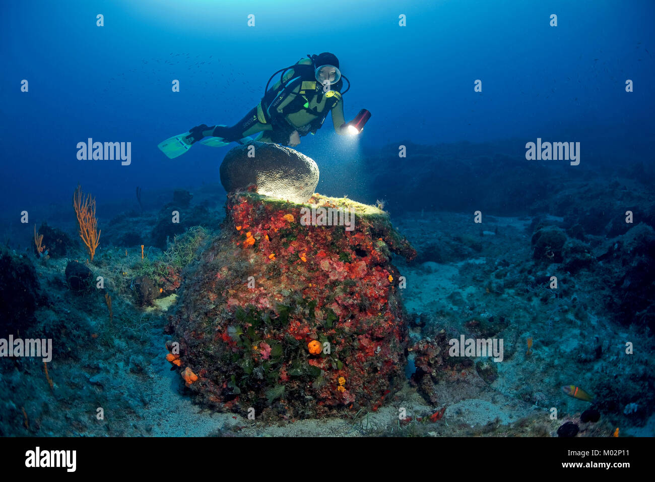 Scuba Diver scoprire vecchie anfore del II secolo A.C., Lykia, mare Mediterraneo, Turchia Foto Stock
