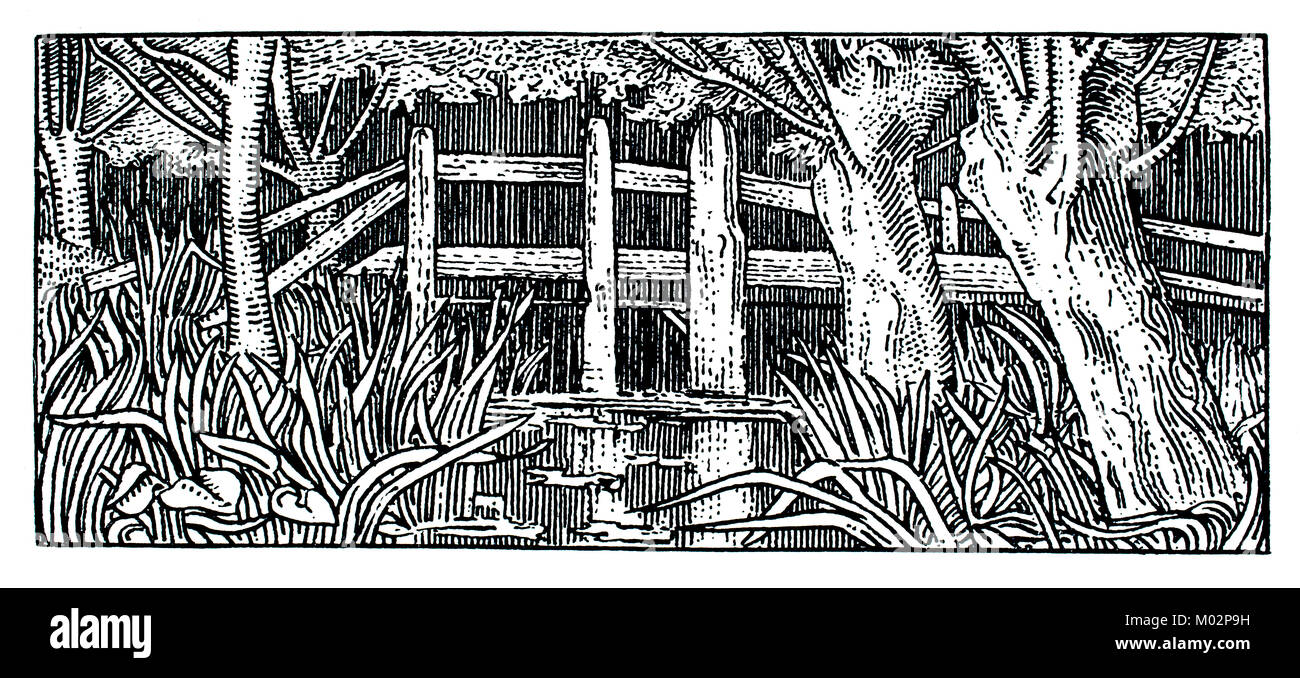 Staccionata in legno riflessa nella zona umida, illustrazione, da Sidney Heath, dal 1893 lo studio di una rivista illustrata di belle e arte applicata Foto Stock