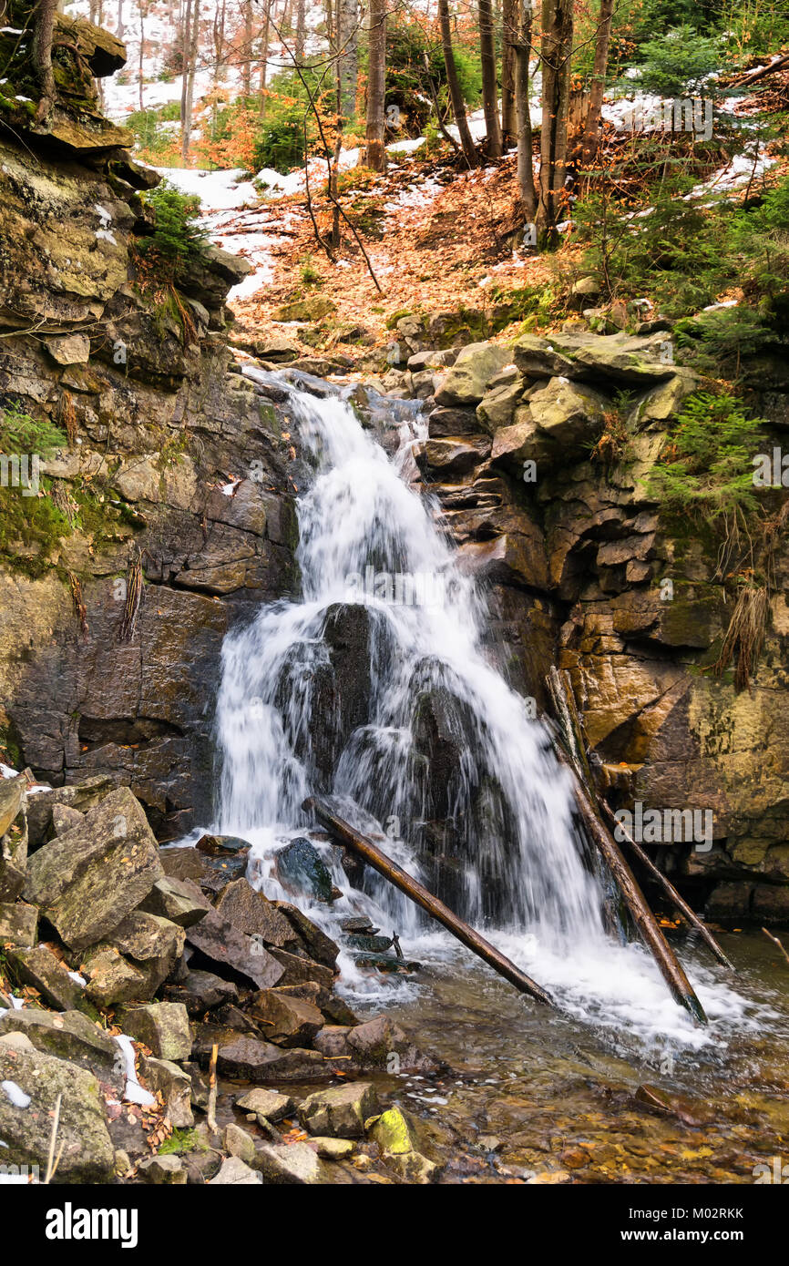 Fiume di montagna in primavera. Cascate sul fiume Vistola sul versante della Barania Góra nel Beskids Slesia. Polonia Foto Stock