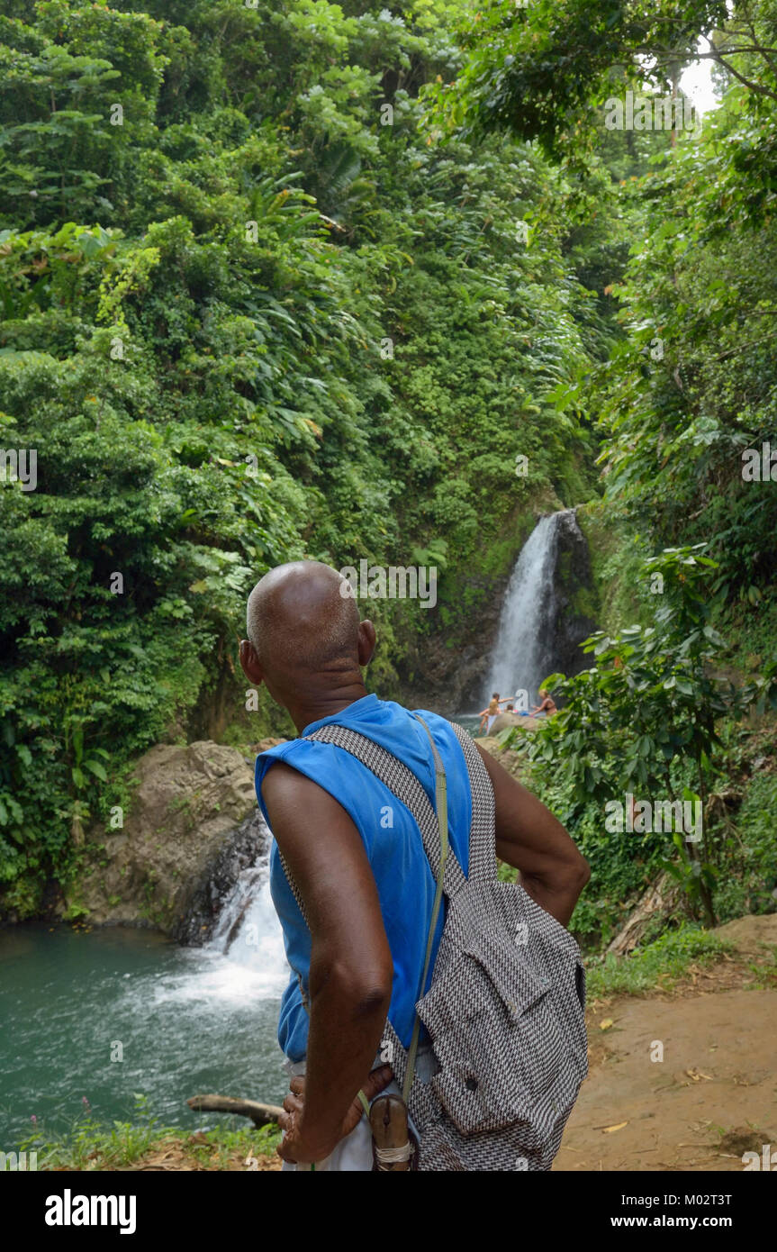 Sette sorelle, Parco nazionale Grand Etang, Grenada, dei Caraibi Foto Stock