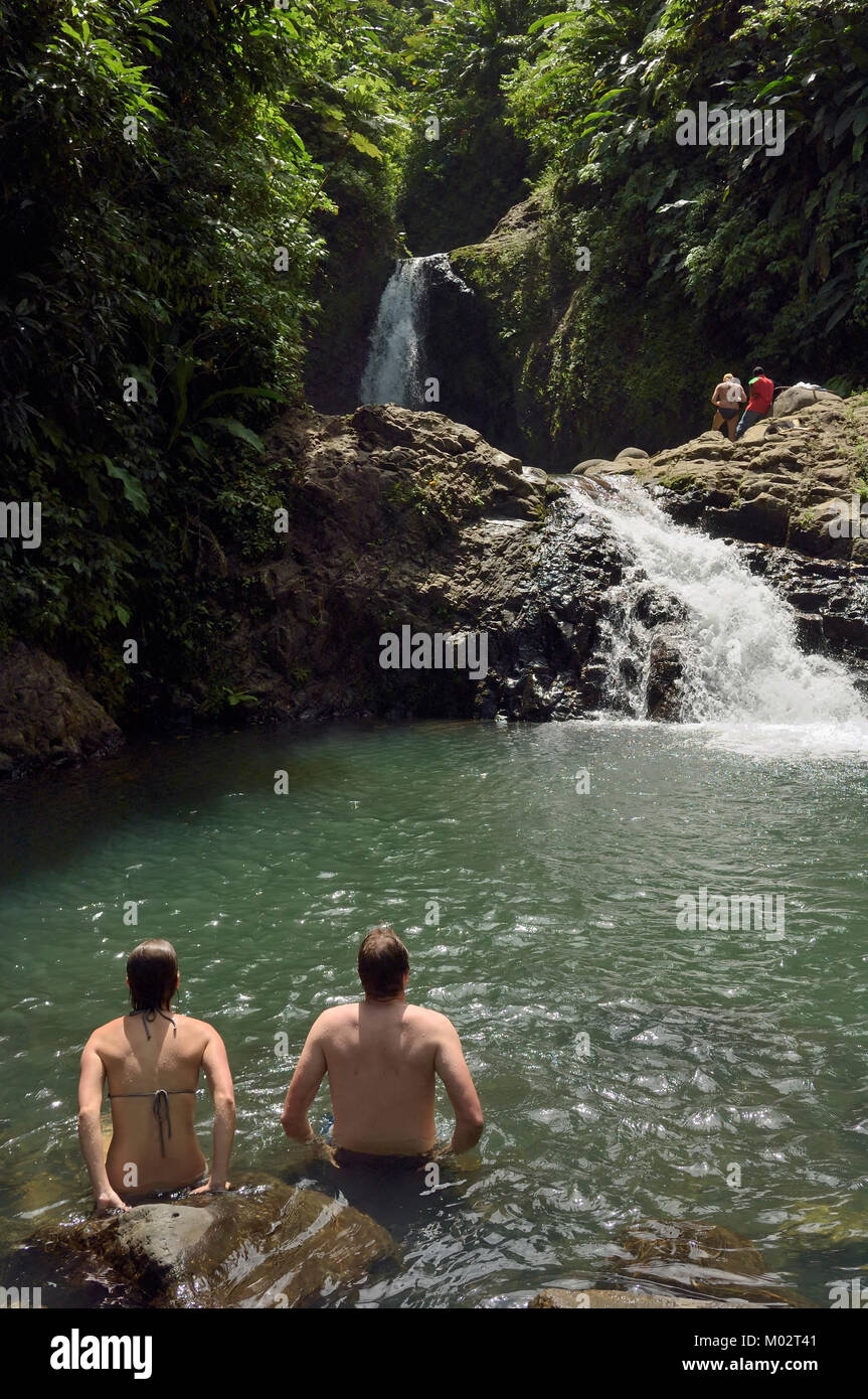 Sette sorelle, Parco nazionale Grand Etang, Grenada, dei Caraibi Foto Stock