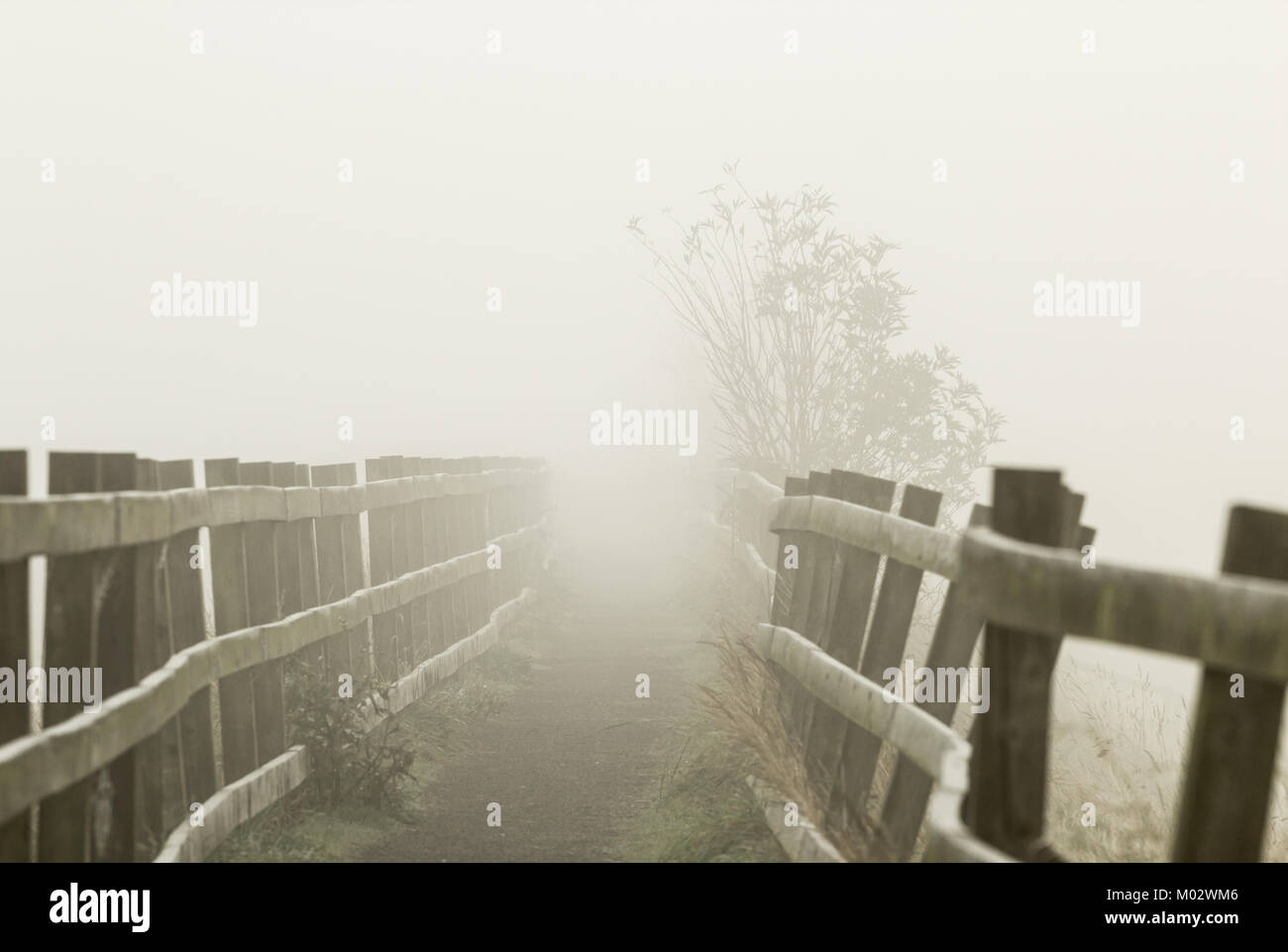 Il sentiero in una nebbiosa mattina. Foto Stock