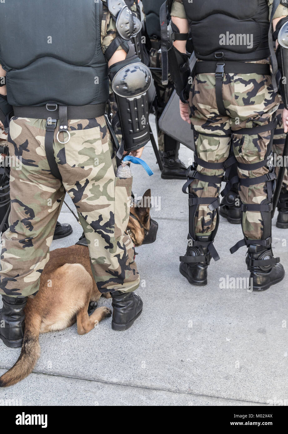 Il personale militare con sniffer cane. Spagna Foto Stock