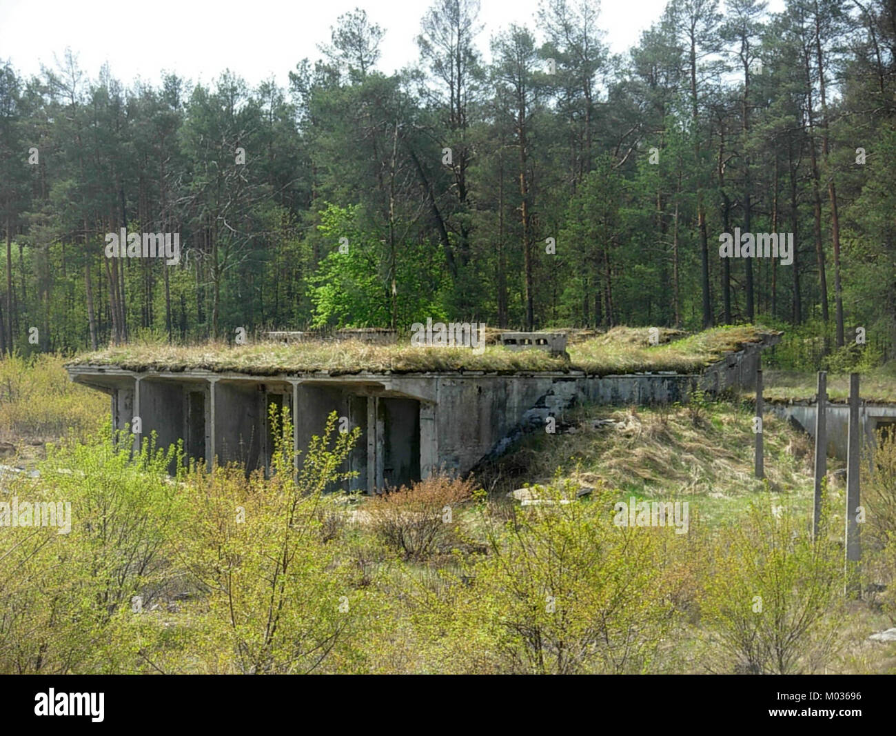 Il BPP 05-2012e sembra essere un documento, un rapporto o una classificazione relativi a uno specifico argomento tecnico, accademico o amministrativo, eventualmente pubblicato nel 2012. Foto Stock