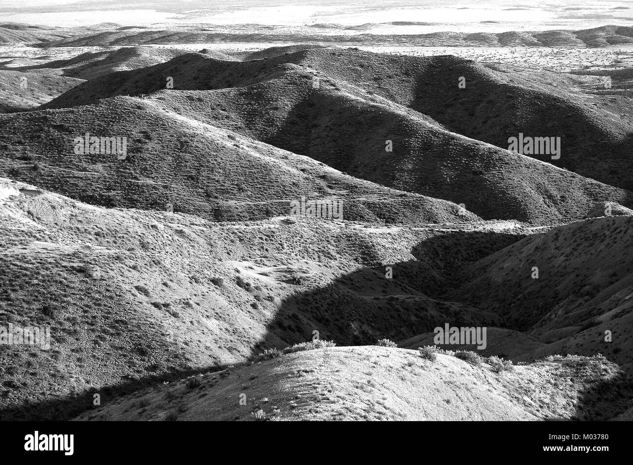 Questa immagine mostra la pianura di Carrizo nella contea di San Luis Obispo, California, una grande area conosciuta per la sua bellezza naturale e i paesaggi unici. La pianura di Carrizo è anche riconosciuta per il suo ruolo nel preservare gli ecosistemi e la fauna selvatica autoctoni. Foto Stock