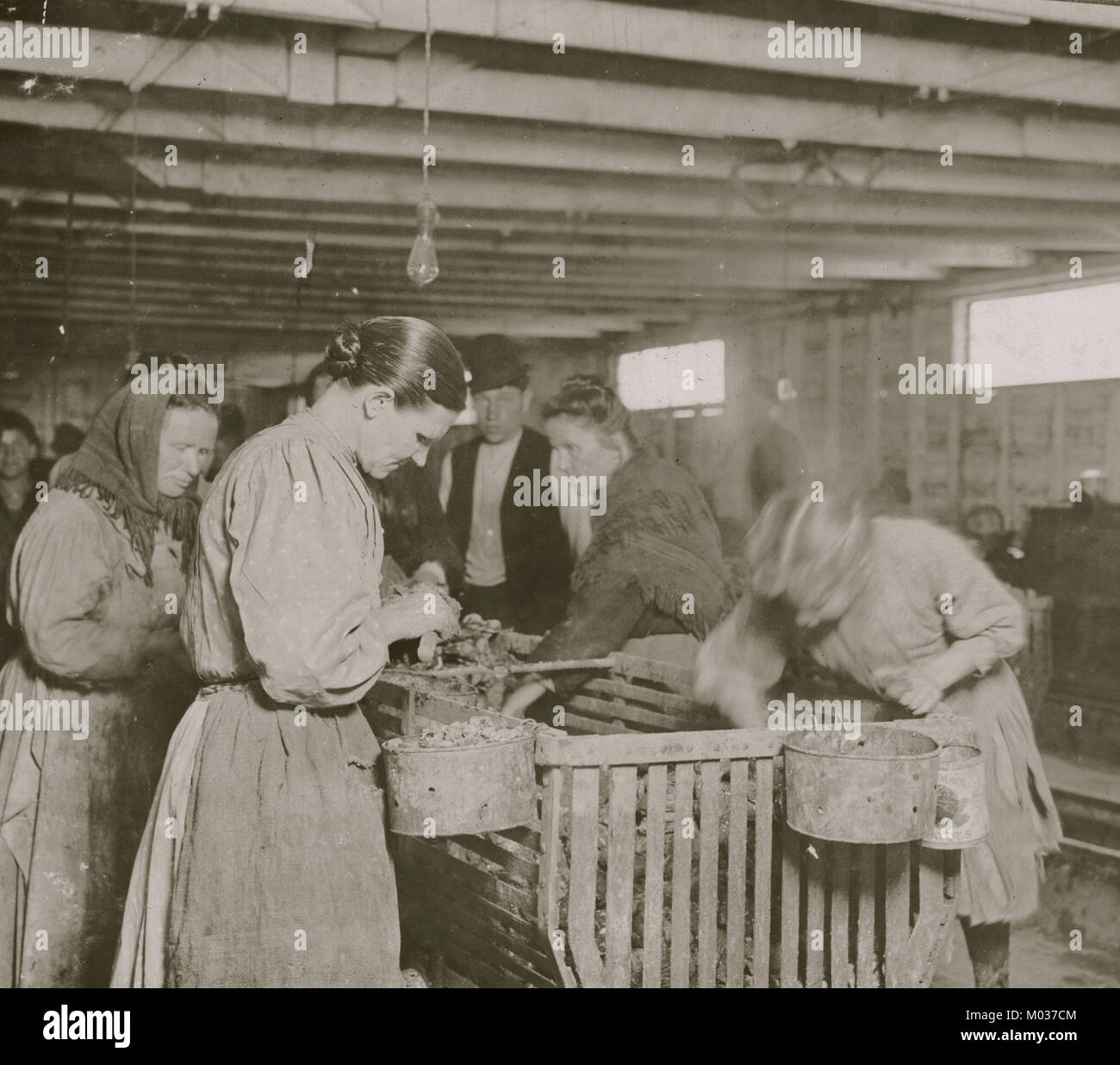 Otto-anno-vecchio Lizzie, guadagna 30 centesimi al giorno shucking ostriche in Dunbar Cannery. Foto Stock