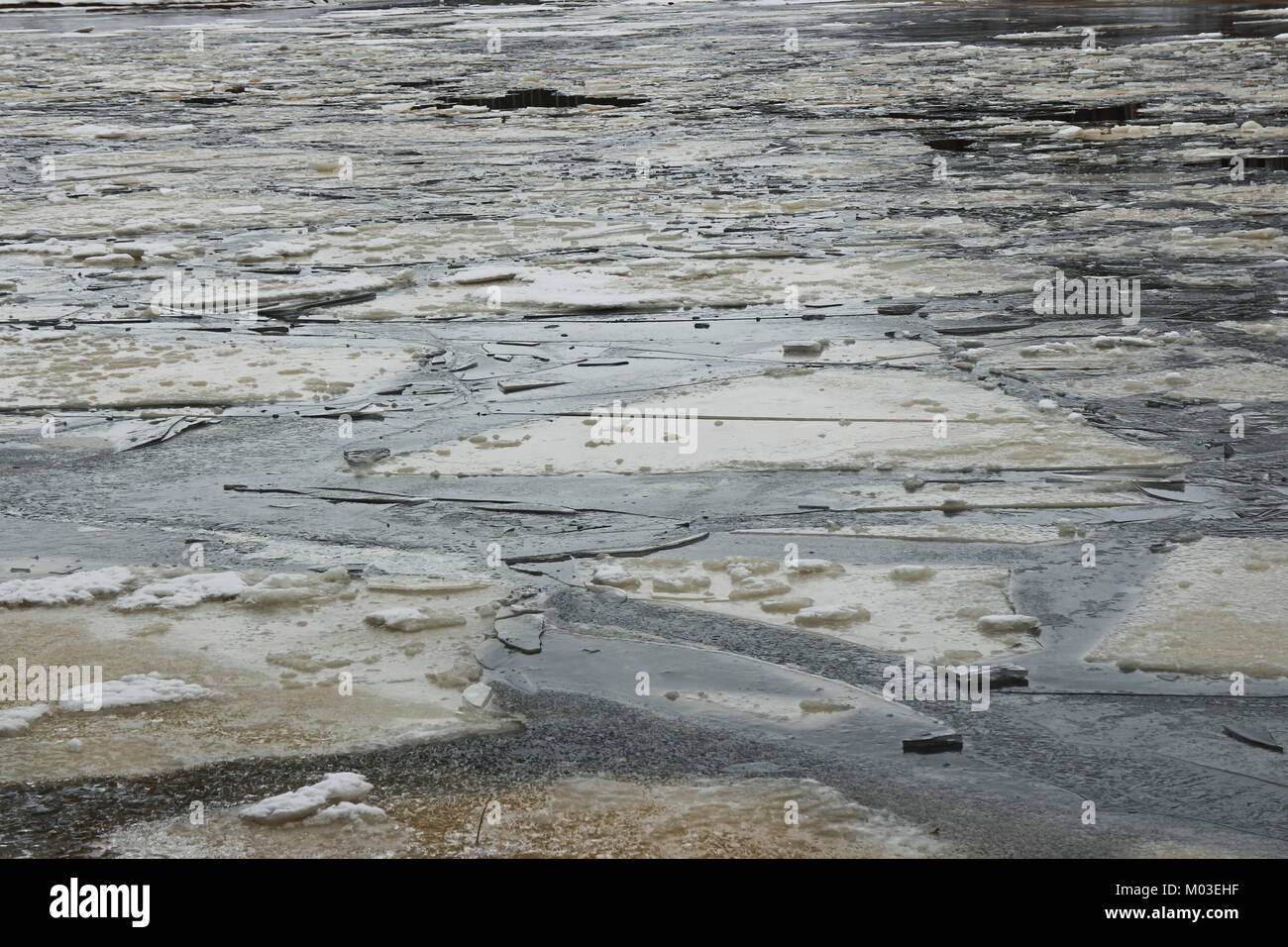 Ice floes come frammenti di specchio rotto Foto Stock