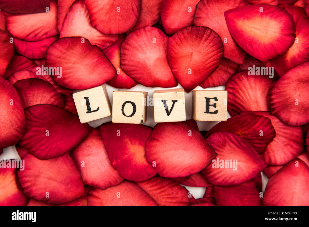 Red petali di rosa sfondo con amore romantico messaggio Foto Stock