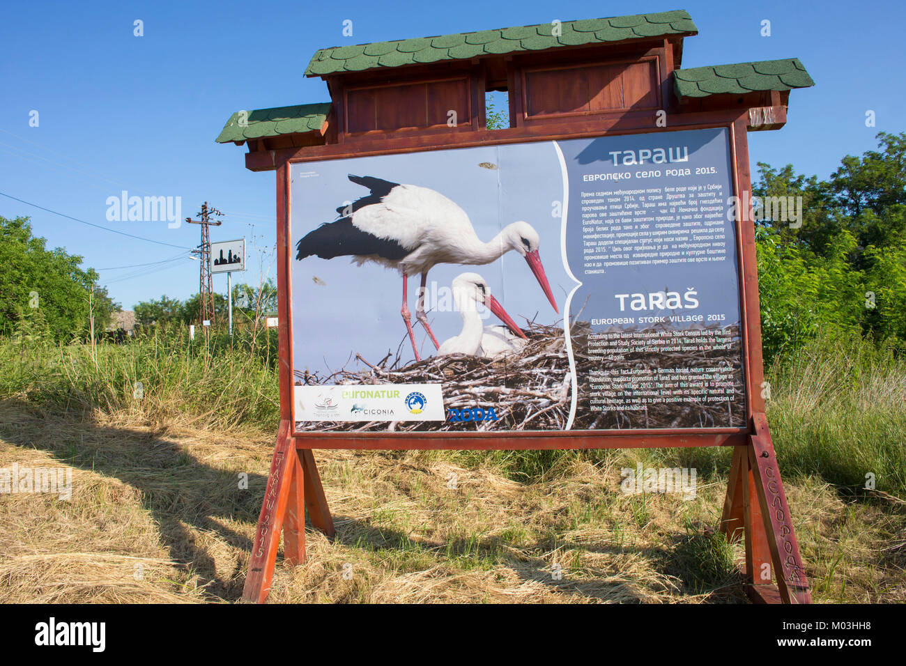 Scheda informazioni circa cicogne bianche, in 'europeo Stork village", Tara, Vojvodina, Serbia, Giugno Foto Stock