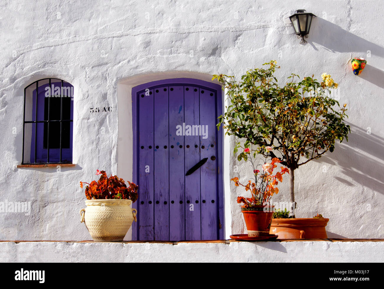 Viola porta e finestra, con piante intorno, impostare nel muro bianco in una giornata di sole in Torrox Pueblo, Andalusia Spagna Foto Stock