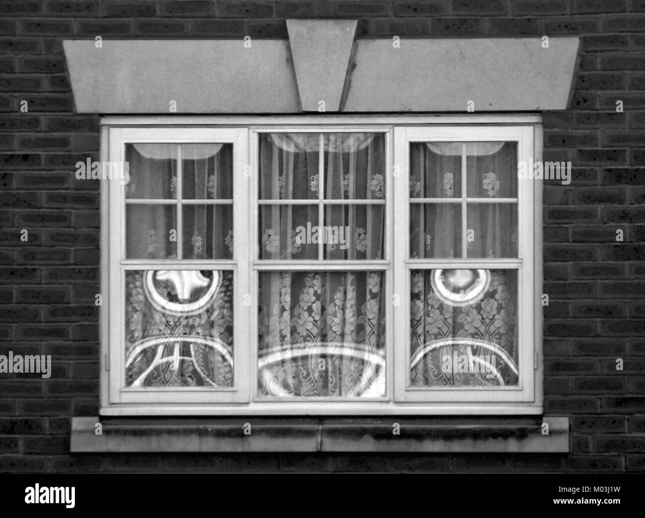 Illusione ottica dalle riflessioni in una moderna finestra che guarda come un gatto in bianco e nero Foto Stock