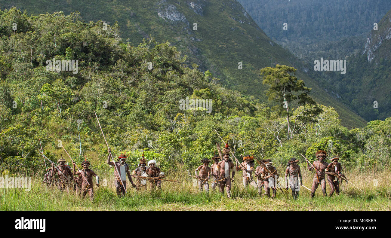 Il gruppo armato dei Papuasi. Un gruppo di guerrieri di Dani Dugum tribù a prepararsi per la guerra. Giugno 4, 2016 Nuova Guinea isola. Foto Stock