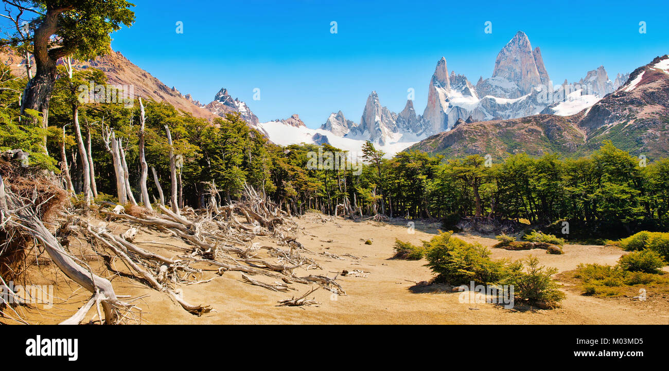 Bellissimo paesaggio con Mt Fitz Roy nel parco nazionale Los Glaciares, Patagonia, Argentina, Sud America Foto Stock