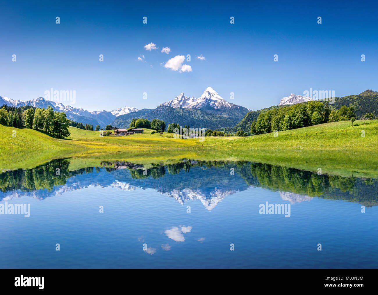 Idilliaco paesaggio estivo con chiaro lago di montagna nelle Alpi Foto Stock