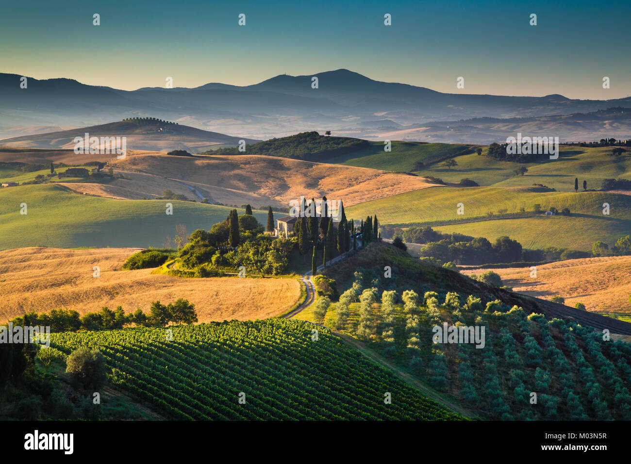 Scenic Toscana paesaggio con colline e valli in golden. La luce del mattino, Val d'Orcia, Italia Foto Stock