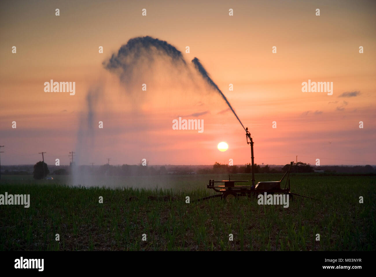 Irrigazione di canna da zucchero al tramonto, Bundaberg Queensland Australia Foto Stock