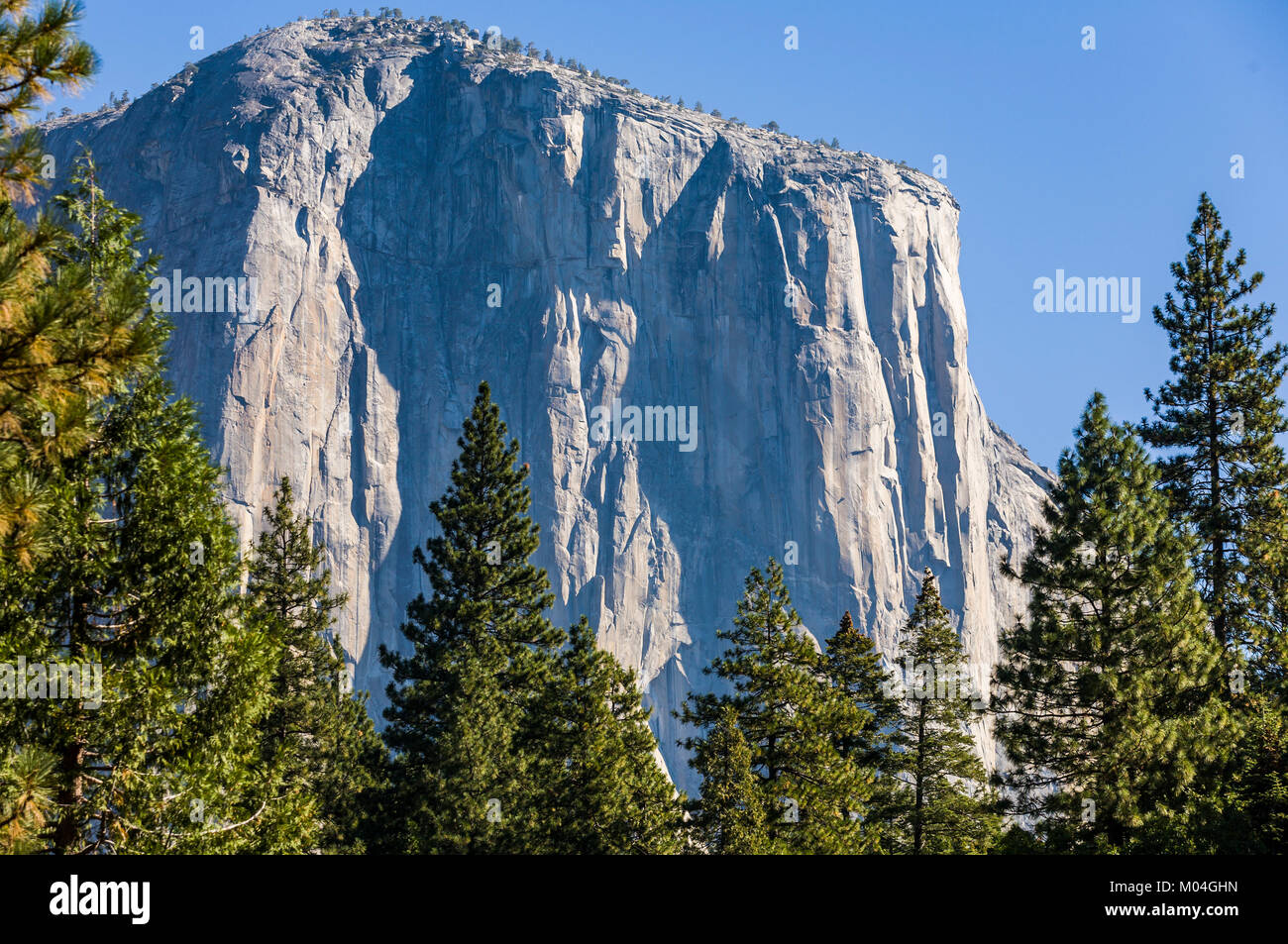 El Capitan nella Yosemite Valley, Yosemite National Park, California, Stati Uniti d'America. Foto Stock