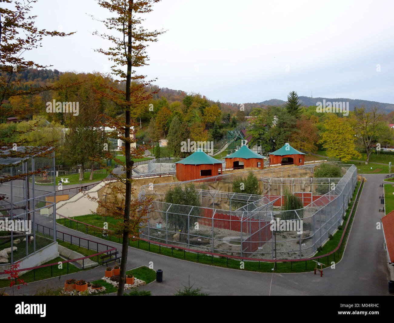 Lo zoo di Brasov, situato in Romania, ospita una varietà di specie animali provenienti da diverse regioni. Lo zoo svolge un ruolo nella conservazione degli animali, nell'educazione e nella consapevolezza ambientale nella comunità locale. Foto Stock