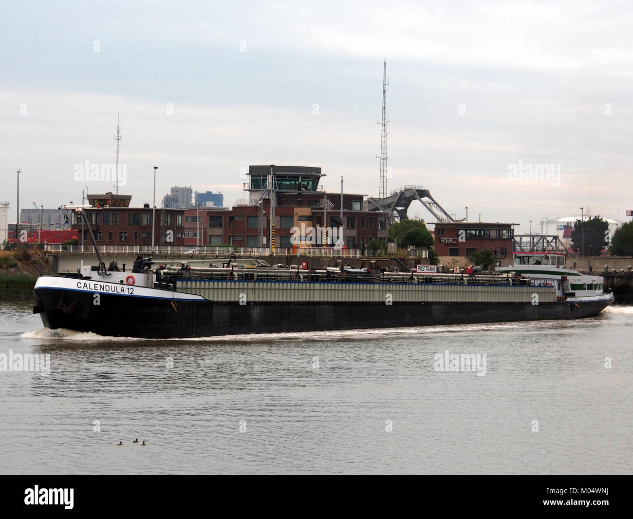 La Calendula 12 è una nave situata a Van Cauwelaertsluis nel porto di Anversa. L'immagine raffigura la nave e i suoi dintorni al porto, un importante centro di spedizioni commerciali in Belgio. Foto Stock