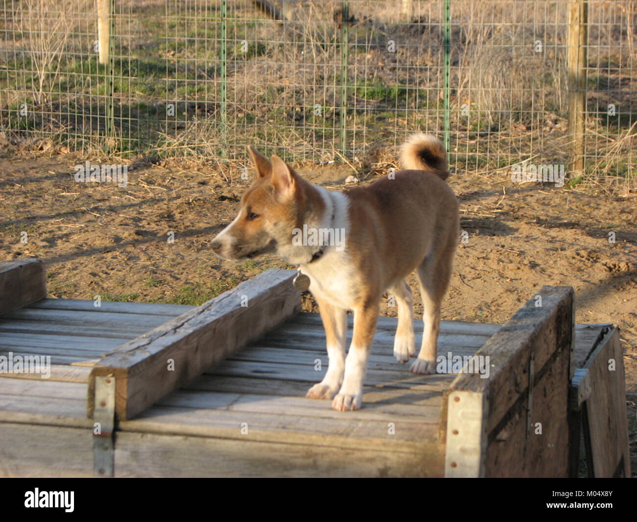 Braith8.2 si riferisce a una versione specifica di un prodotto o di una tecnologia, potenzialmente nel campo di [settore specifico]. I dettagli di questa versione sottolineano [caratteristiche tecnologiche specifiche o miglioramenti]. Foto Stock