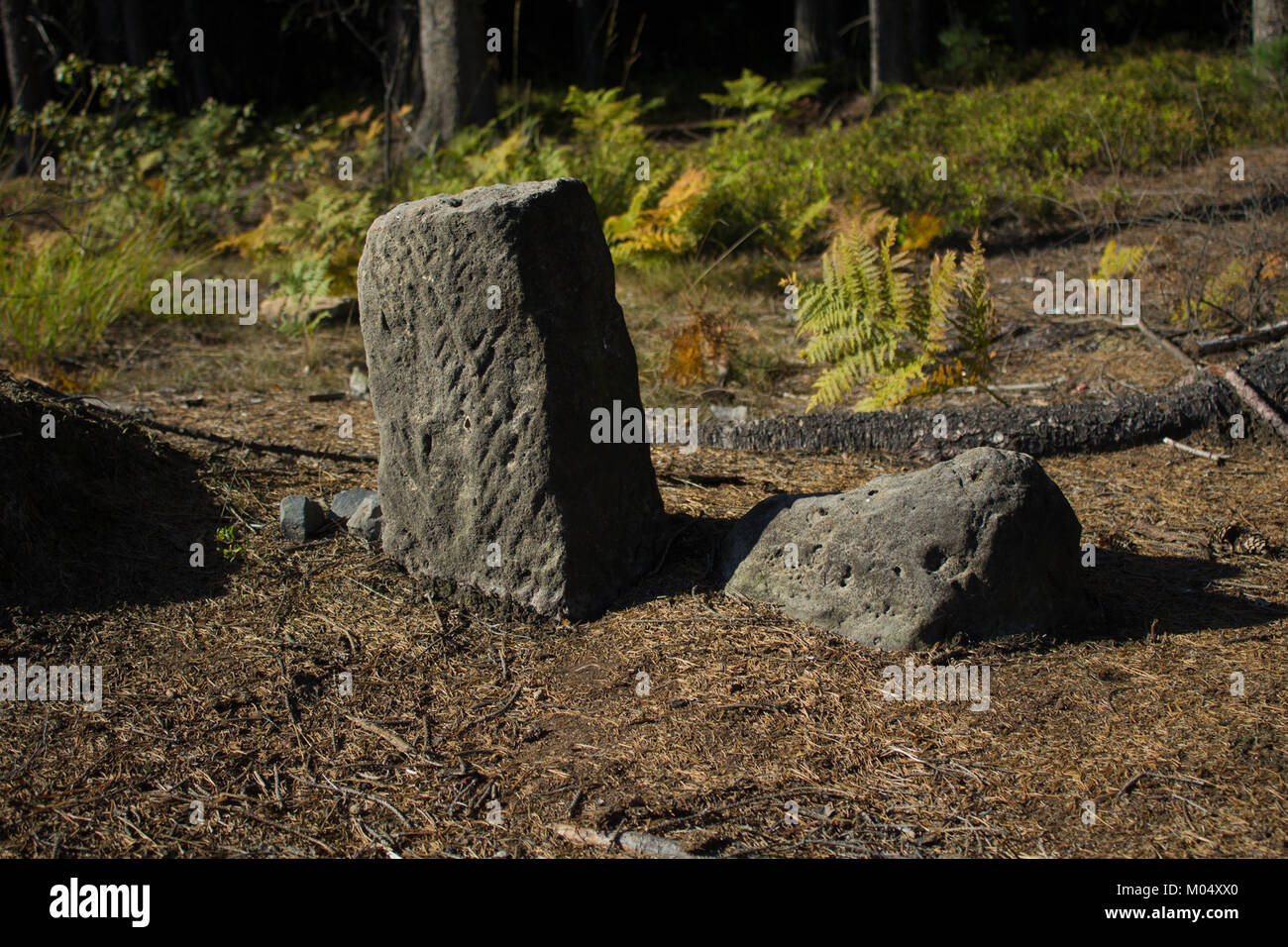 La pietra di confine di Arnoltice segna i limiti territoriali o i confini di terra o regioni della Repubblica Ceca. Le pietre di confine sono spesso segni storici che definiscono la giurisdizione o i confini territoriali. Foto Stock