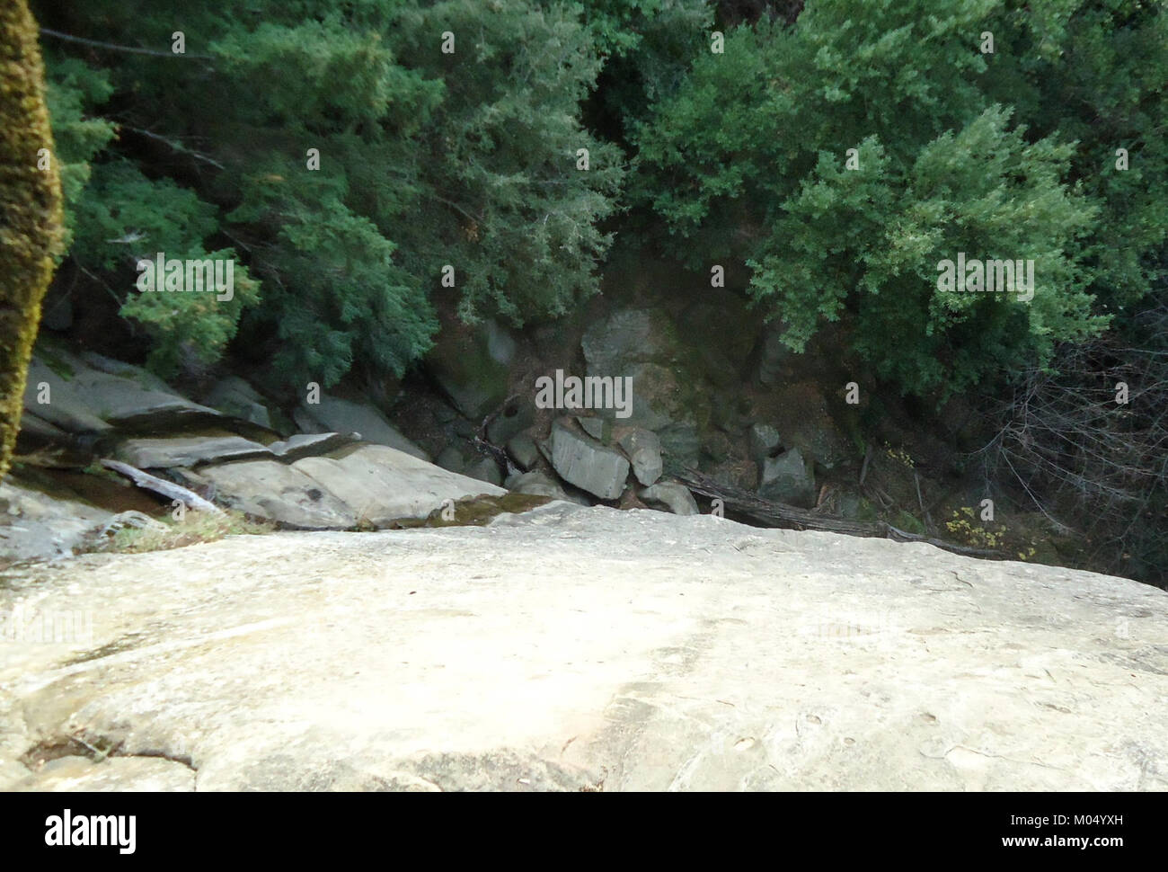 Questa fotografia mostra una vista dall'alto verso il basso degli alberi del Castle Rock State Park, California, offrendo una prospettiva unica del baldacchino della foresta in un'area naturale protetta. Foto Stock