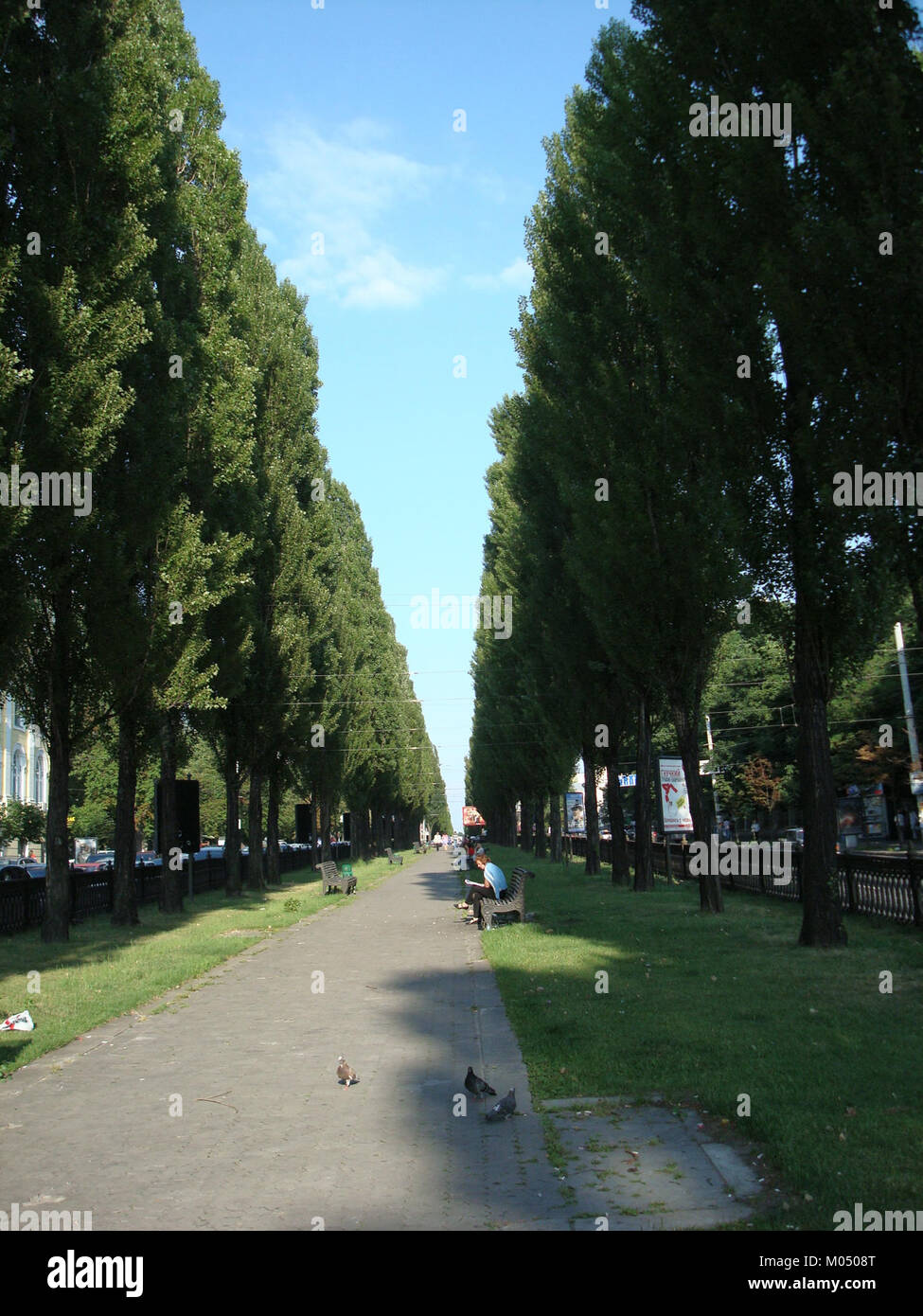 Un riferimento a Bulvar Shevchenko, probabilmente una strada o uno spazio pubblico che prende il nome da Taras Shevchenko, un importante poeta e artista ucraino. Foto Stock