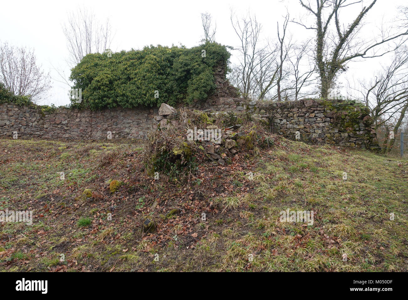 Una vista interna di Burg Hauenstein, un castello situato a Baden, Germania, che mostra le sue caratteristiche architettoniche e il contesto storico. Foto Stock