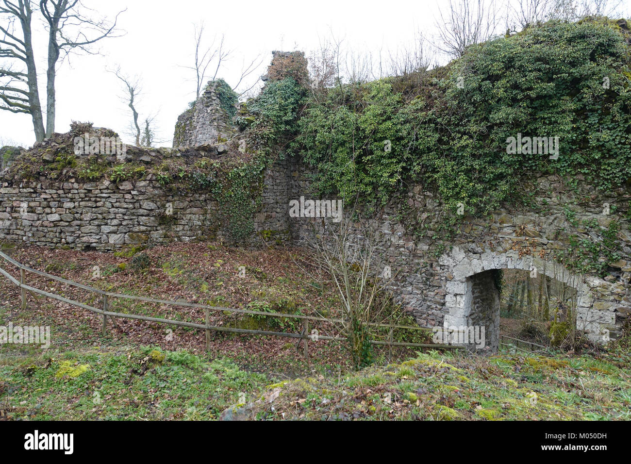Una fotografia dell'interno di Burg Hauenstein a Baden, Germania, che mostra la sua architettura storica e la sua conservazione come sito culturale. Foto Stock