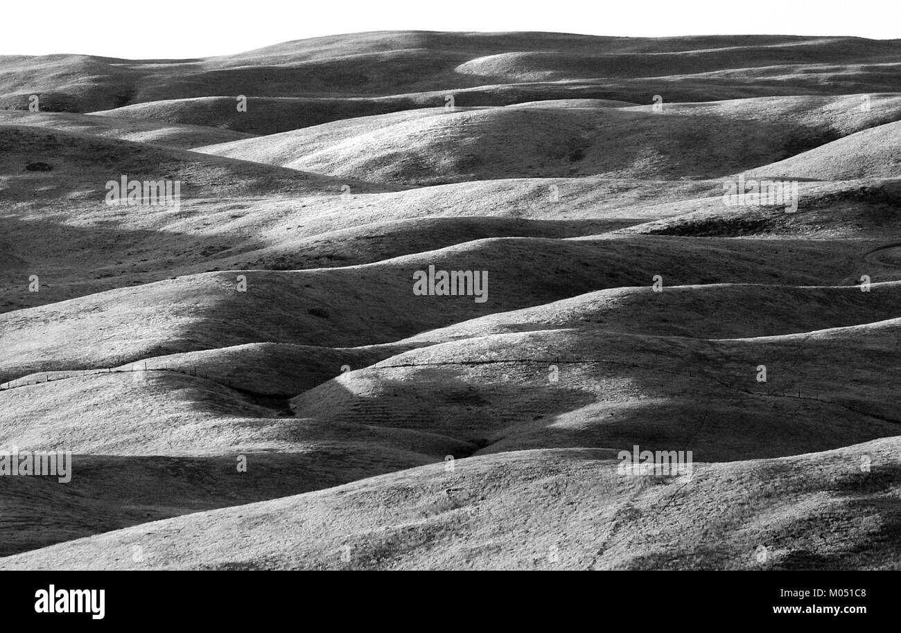 L'area di Carrizo Plain nella contea di San Luis Obispo, California, è un sito naturale significativo noto per la sua biodiversità e le caratteristiche geologiche uniche. È sede del Carrizo Plain National Monument, un'area protetta ricca di fauna selvatica e diversità ecologica. Foto Stock