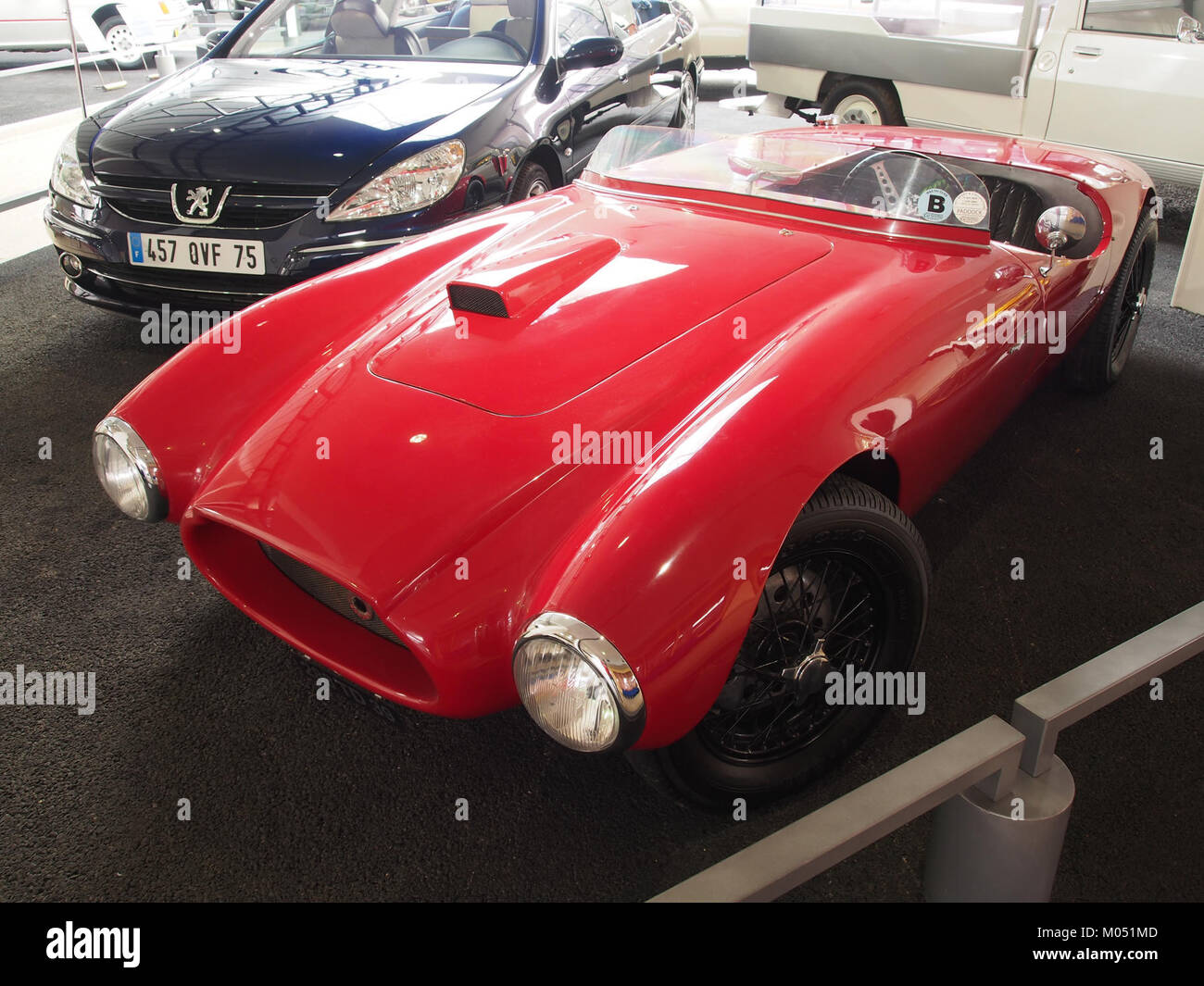 Bouvot Choupinette Photo 3 è una registrazione fotografica che cattura un momento o un soggetto significativo. Rappresenta un artefatto visivo di valore artistico, che mostra il soggetto in un contesto creativo e storico. Foto Stock