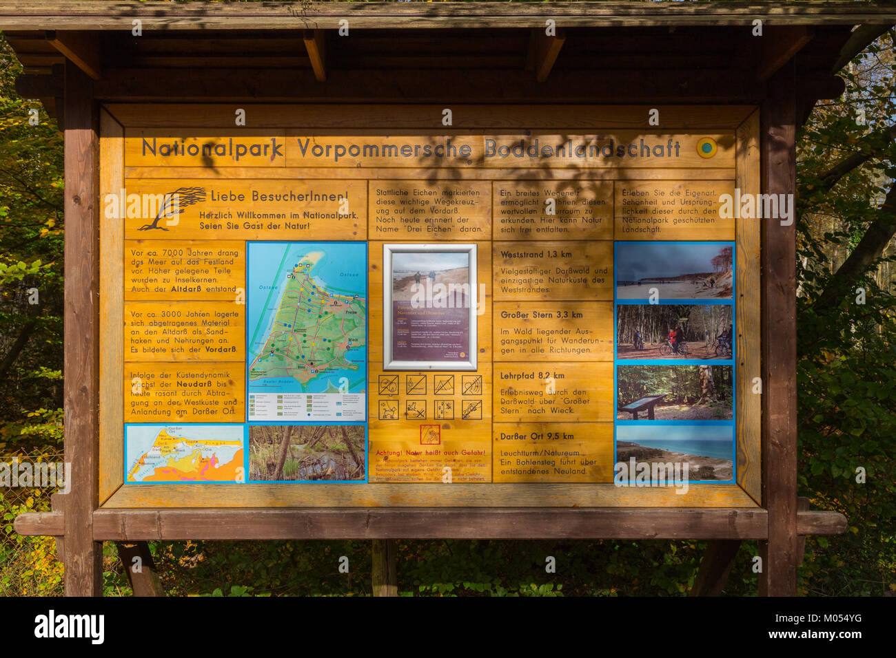 Born a Darss Nationalpark fa parte della Vorpommersche Boddenlandschaft, situata in Germania. È un parco naturale noto per il suo paesaggio unico e la biodiversità. Foto Stock