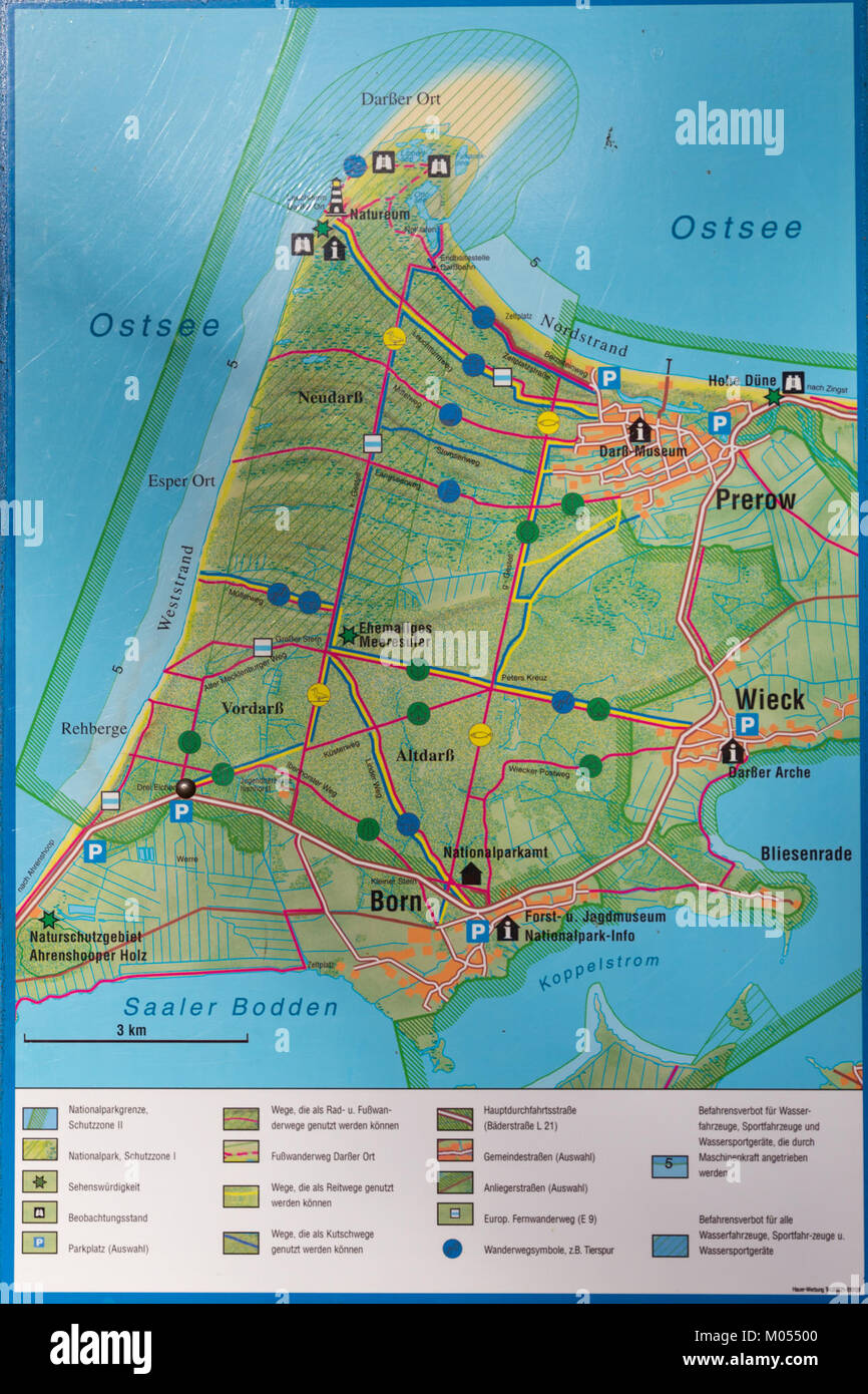Born a Darss Darsswald si riferisce alla regione costiera di Darss in Germania, nota per la sua bellezza naturale e il suo significato storico come parte della costa del Mar Baltico. Foto Stock