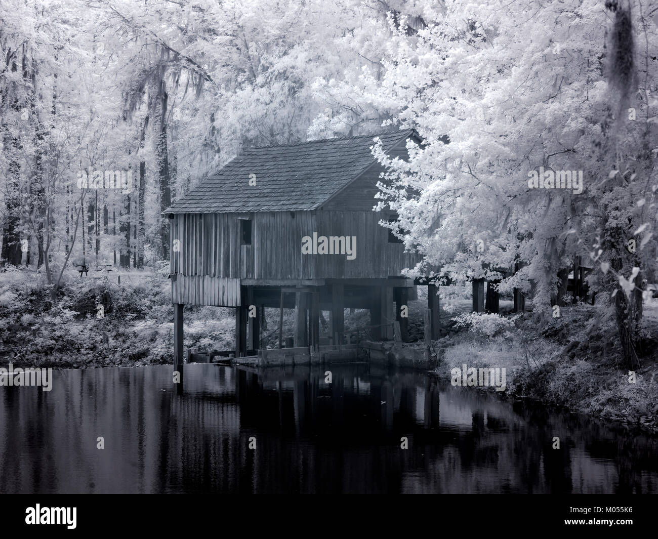 Rikard's Mill, vicino a Beatrice, Alabama Foto Stock