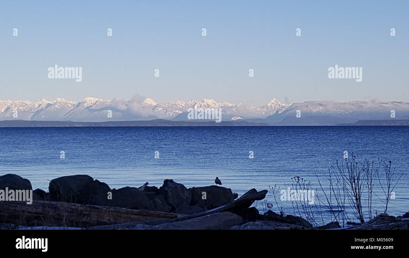 Campbell River è una città costiera della Columbia Britannica, Canada. Noto per la sua vicinanza alle bellezze naturali e alle attività ricreative all'aperto, è un punto di riferimento per la pesca, l'osservazione della fauna selvatica e il turismo. Foto Stock