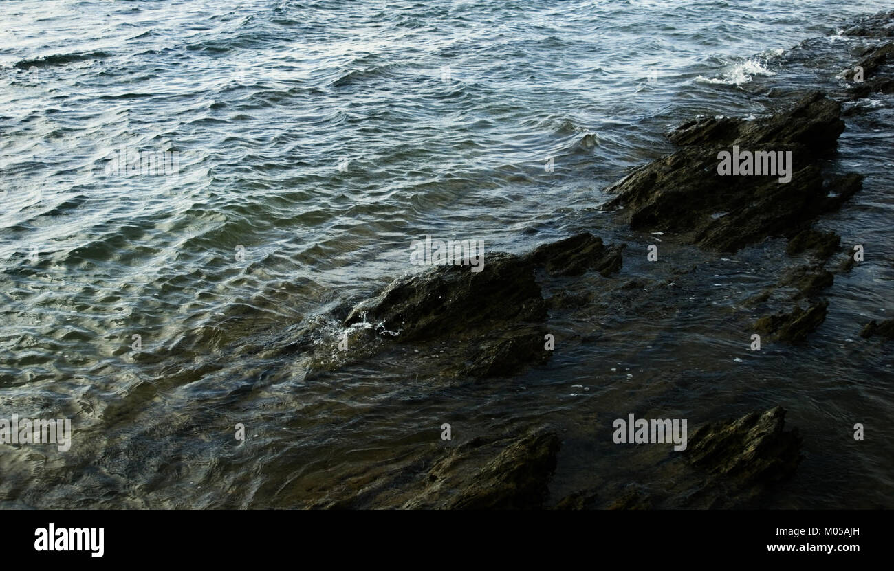 Questa immagine cattura il momento di rottura della superficie, probabilmente correlato all'acqua o alla vita acquatica, evidenziando un elemento della natura o del movimento. Foto Stock