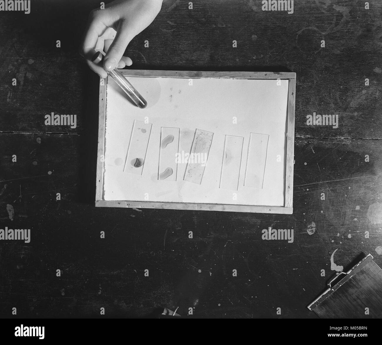 L'immagine mostra la Croce Rossa straniera che fornisce assistenza agli ospedali olandesi, riflettendo gli sforzi umanitari dell'organizzazione durante un periodo di crisi. Questo sostegno è stato cruciale per i sistemi sanitari olandesi. Foto Stock