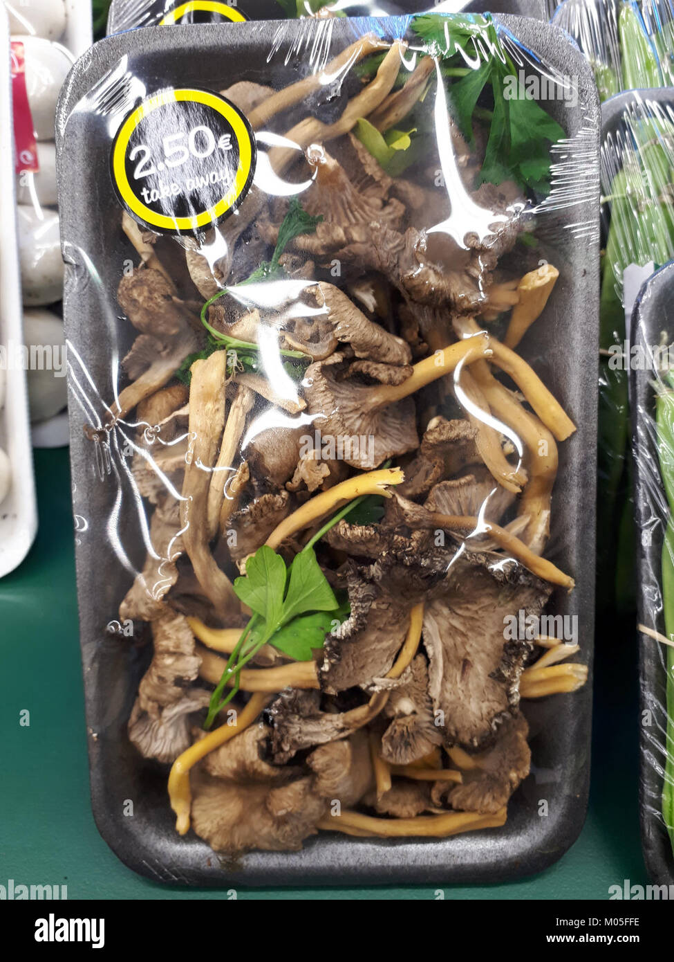 Camagroc 2017 C è un riferimento a un evento o prodotto del 2017, con Camagroc possibilmente riferito a un'azienda o progetto. È necessario un ulteriore contesto per approfondire la sua importanza o pertinenza nel settore specifico. Foto Stock