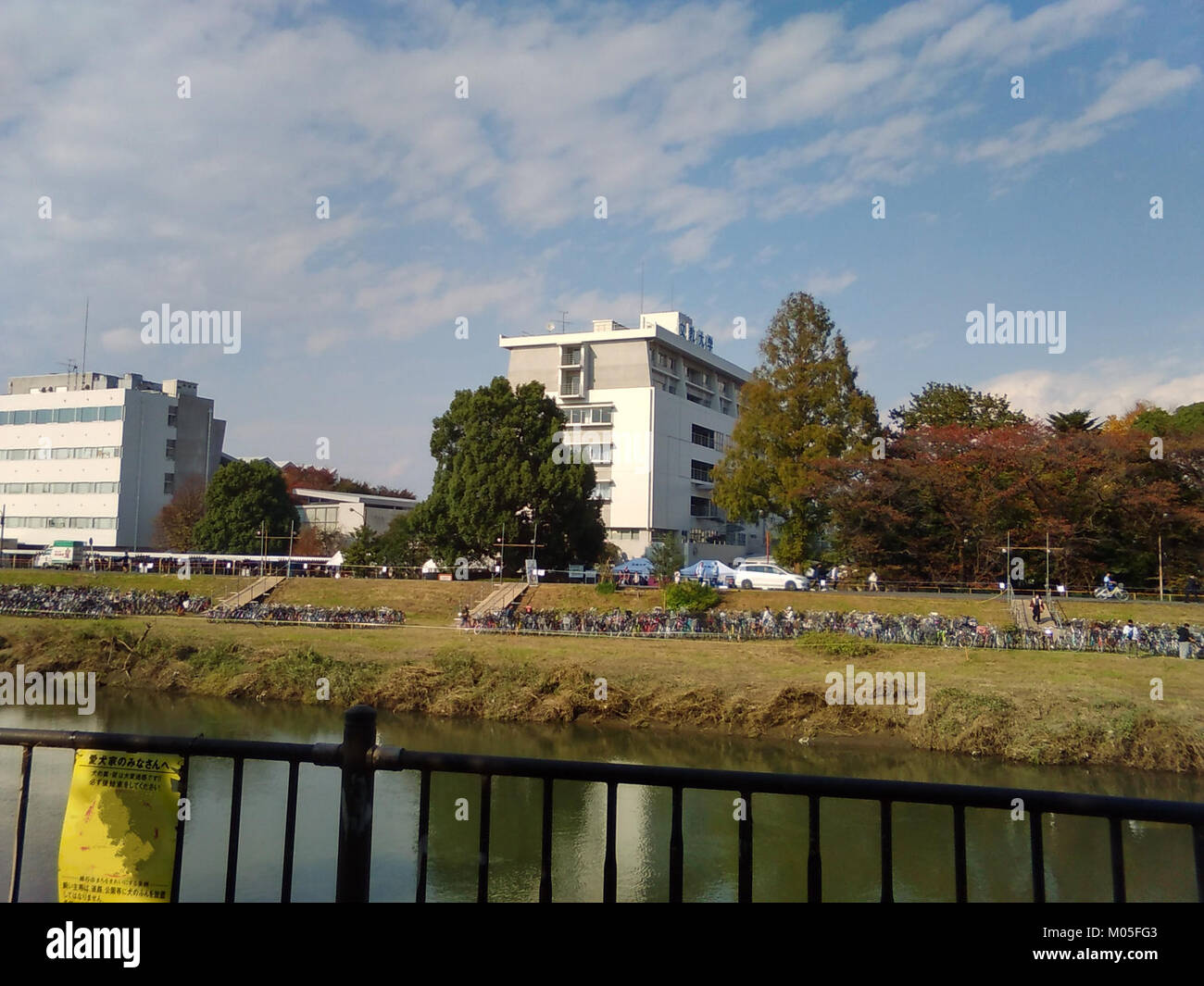 La Bunkyo University Koshigaya, situata a Saitama, in Giappone, è nota per la sua eccellenza educativa e il design moderno del campus. Si tratta di un'istituzione importante per l'istruzione superiore nella regione. Foto Stock
