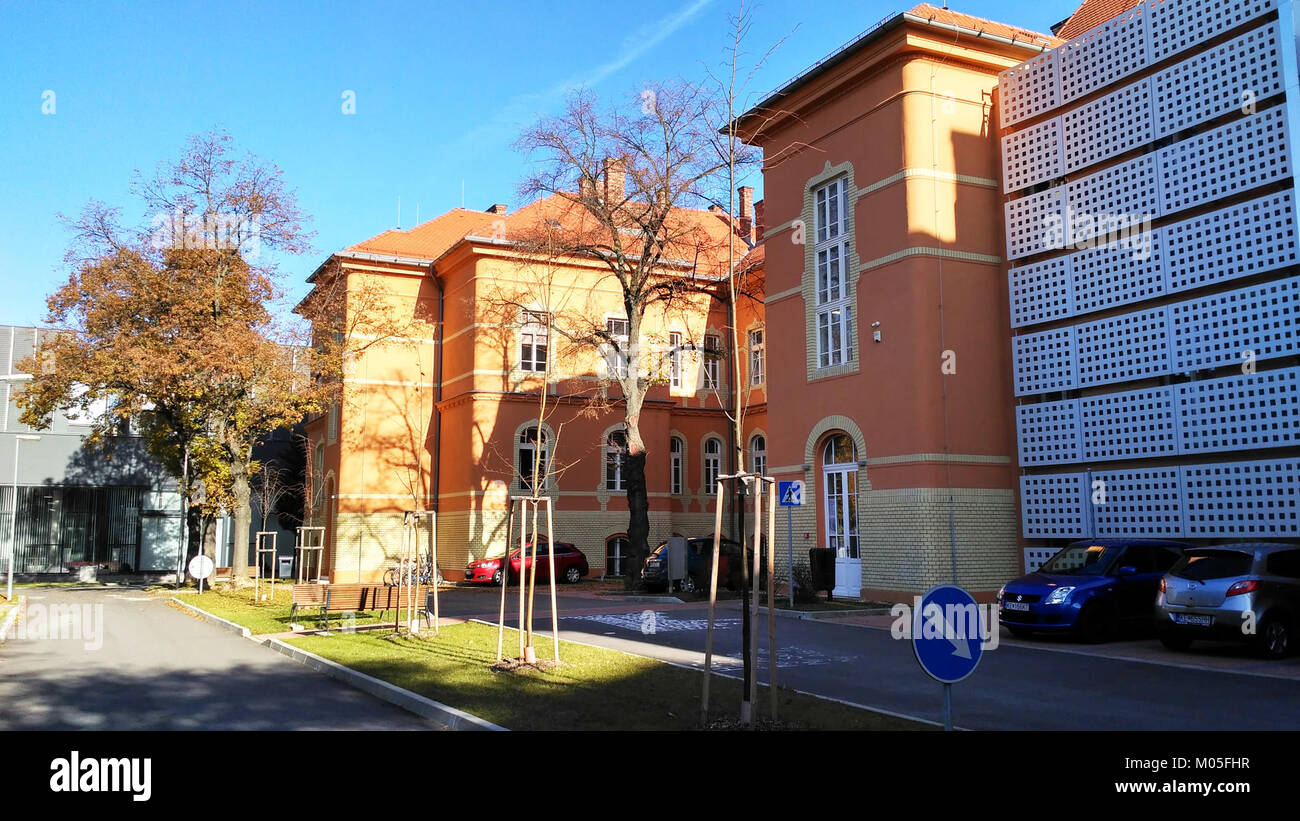 Budova Platon è un edificio situato presso l'Università di Pavol Jozef Å afÃ¡rik a KoÅ¡ICE, Slovacchia. Fa parte delle infrastrutture dell'università e funge da struttura per scopi accademici e amministrativi. Il design moderno e la funzionalità dell'edificio supportano la missione educativa dell'università e offrono uno spazio per l'apprendimento, la ricerca e le attività accademiche. Foto Stock