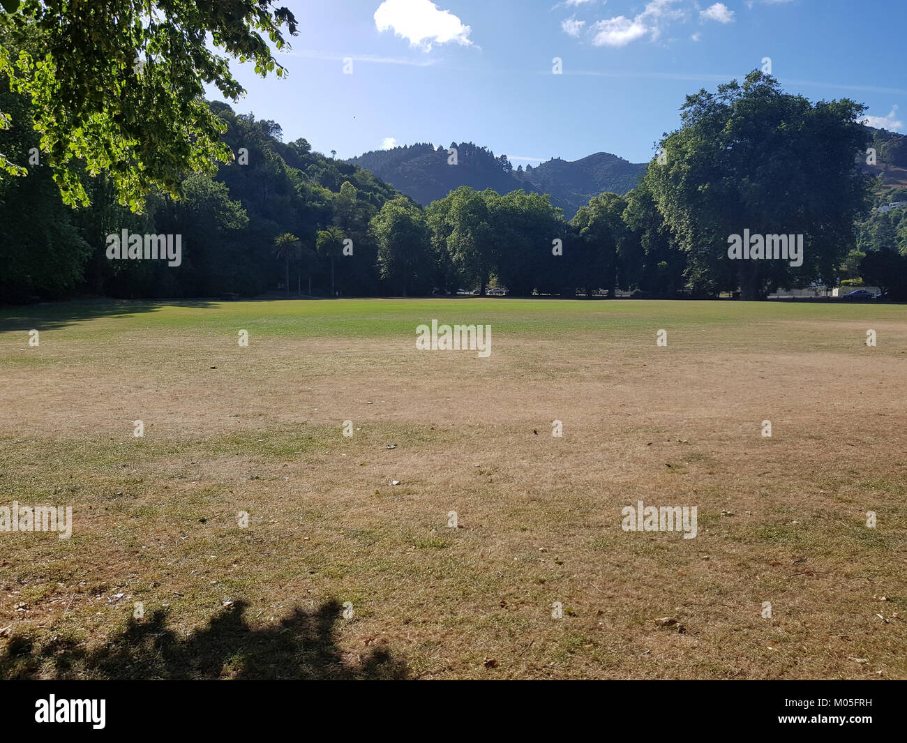 Il Botanic Reserve Cricket Ground è una struttura sportiva situata all'interno di una riserva botanica. Ospita partite di cricket e offre un ambiente naturale per gli sport all'aperto in un ambiente panoramico. Foto Stock