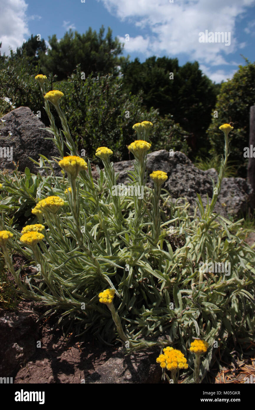 Borotin 114 si riferisce a un indirizzo o a un luogo specifico, possibilmente a Borotin, un villaggio o una città. Il significato del luogo può richiedere un contesto supplementare per comprenderne pienamente la rilevanza storica o culturale. Foto Stock