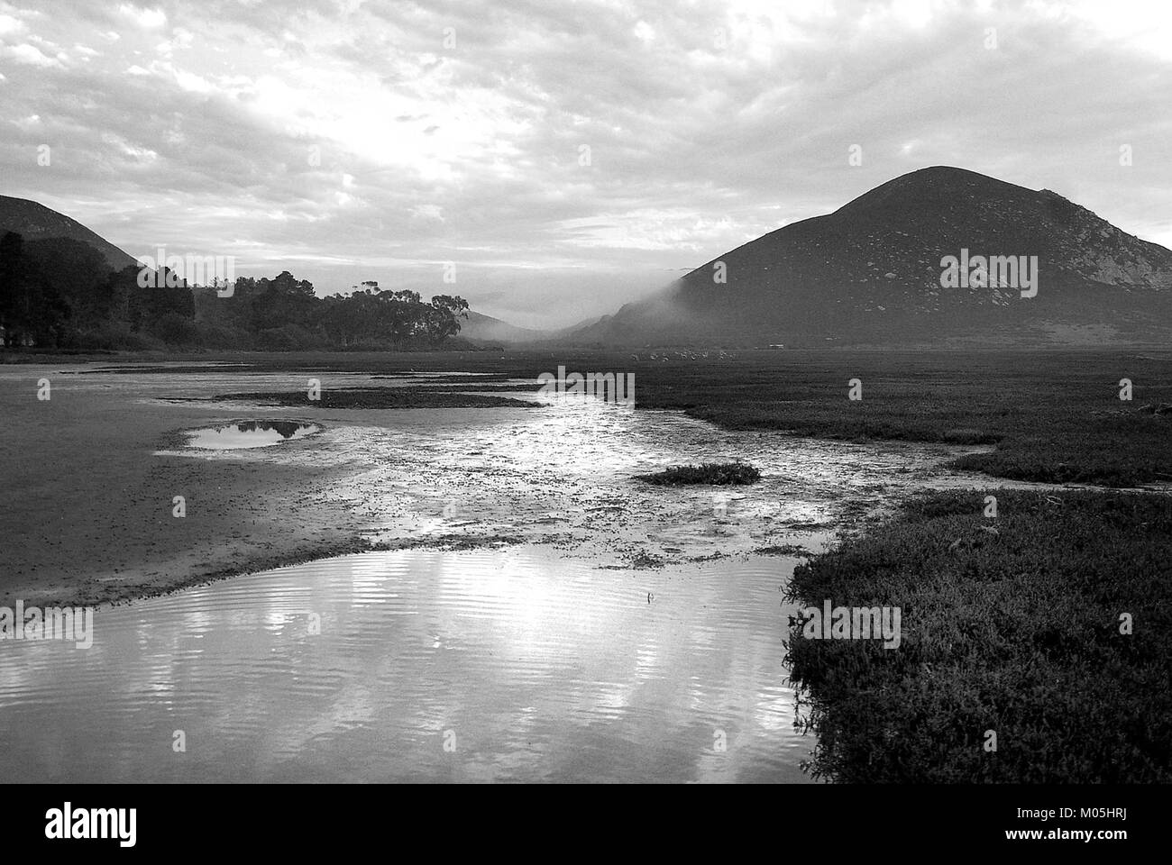 CA - SLO COUNTY, Morro Bay area (48) (11111229193) Foto Stock