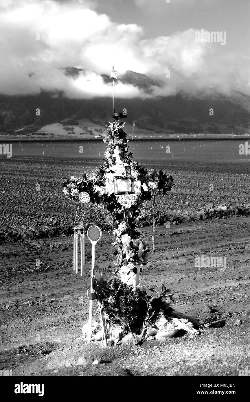 L'area di San Francisco e Monterey in California offre una varietà di attrazioni paesaggistiche e culturali, tra cui vedute costiere, monumenti storici e attività all'aperto. Foto Stock