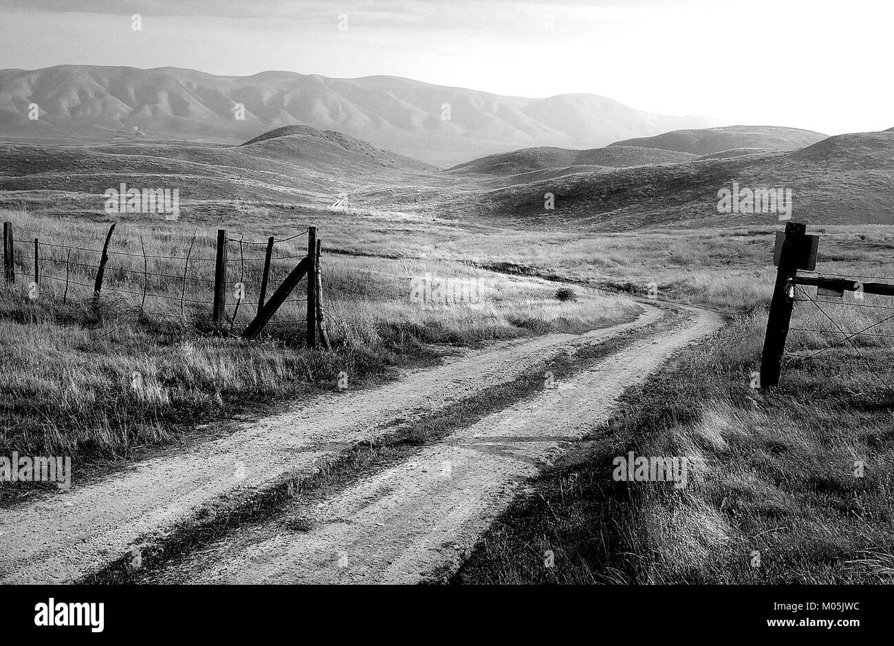 CA - SLO COUNTY, Carrizo Plain area (1) (11111209264) Foto Stock