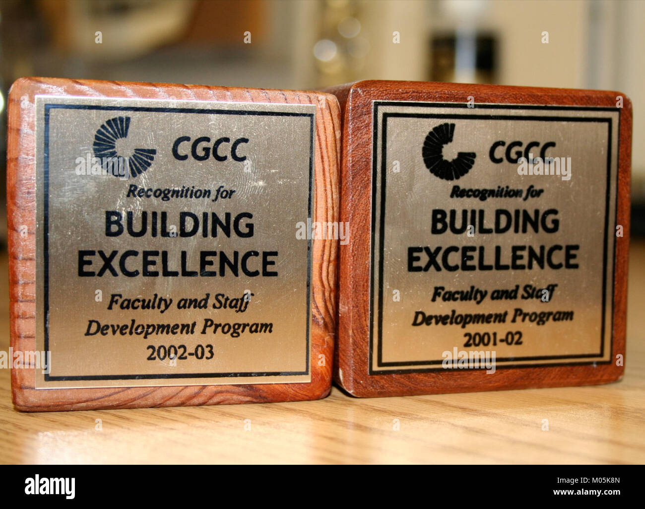 Un insieme di elementi di base, tipicamente utilizzati per scopi educativi, che promuovono la creatività, lo sviluppo cognitivo e le abilità motorie nei bambini. Foto Stock