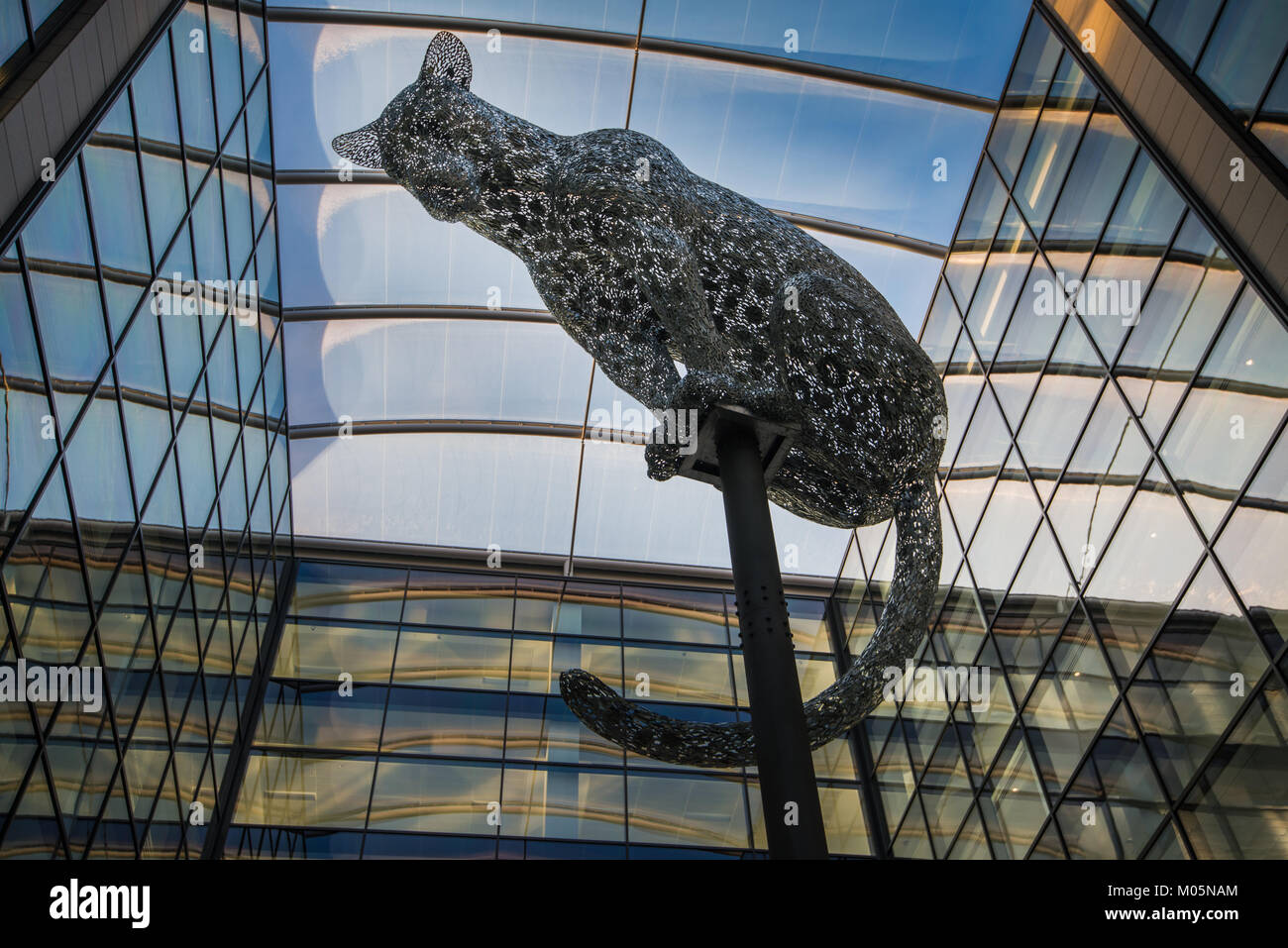 Piazza Marischal Aberdeen scultura di Leopard Foto Stock